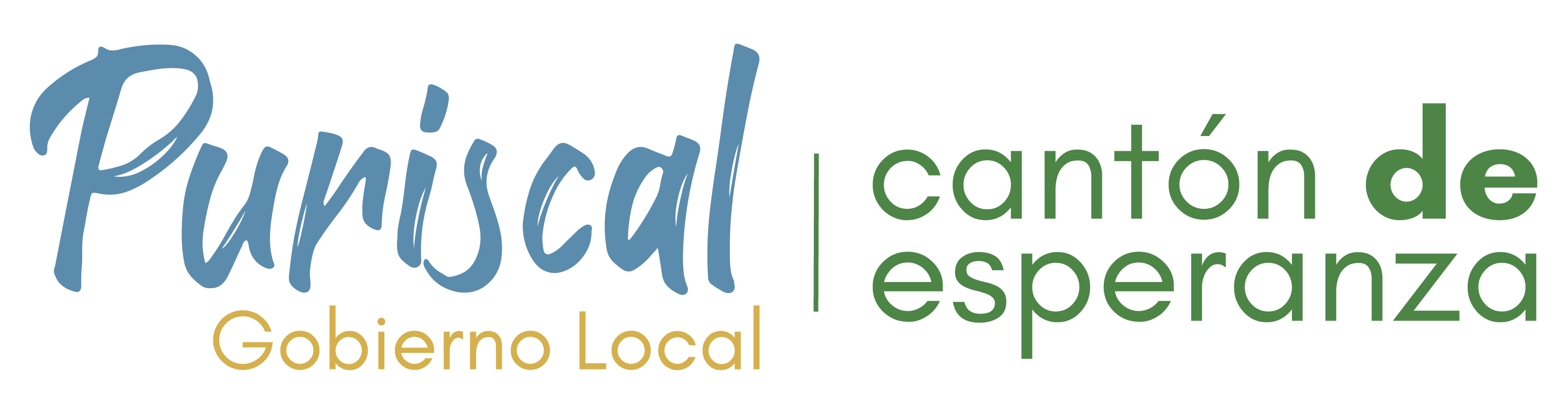 Municipalidad de Puriscal